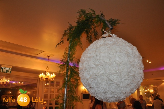 afra7 salah 909 (18).JPG